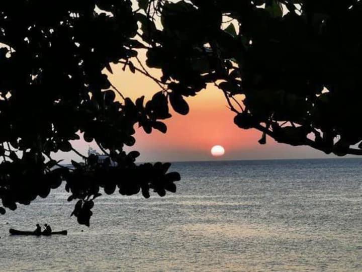 Quarto aconchegante em Ilhabela Praia Curral Pé na areia Até 4 pessoas AvJosé Pacheco do Nascimento nº 7682 Exterior foto